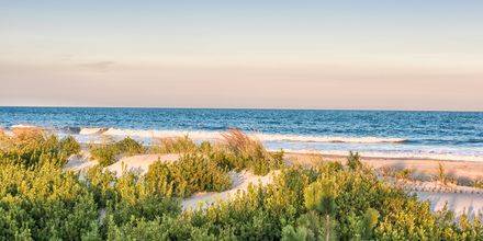 Salt & Cedar House - South Jersey - Cape May, Stone Harbor, Wildwood