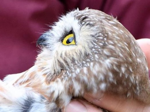 Museums & Historical Sites and Stories ....