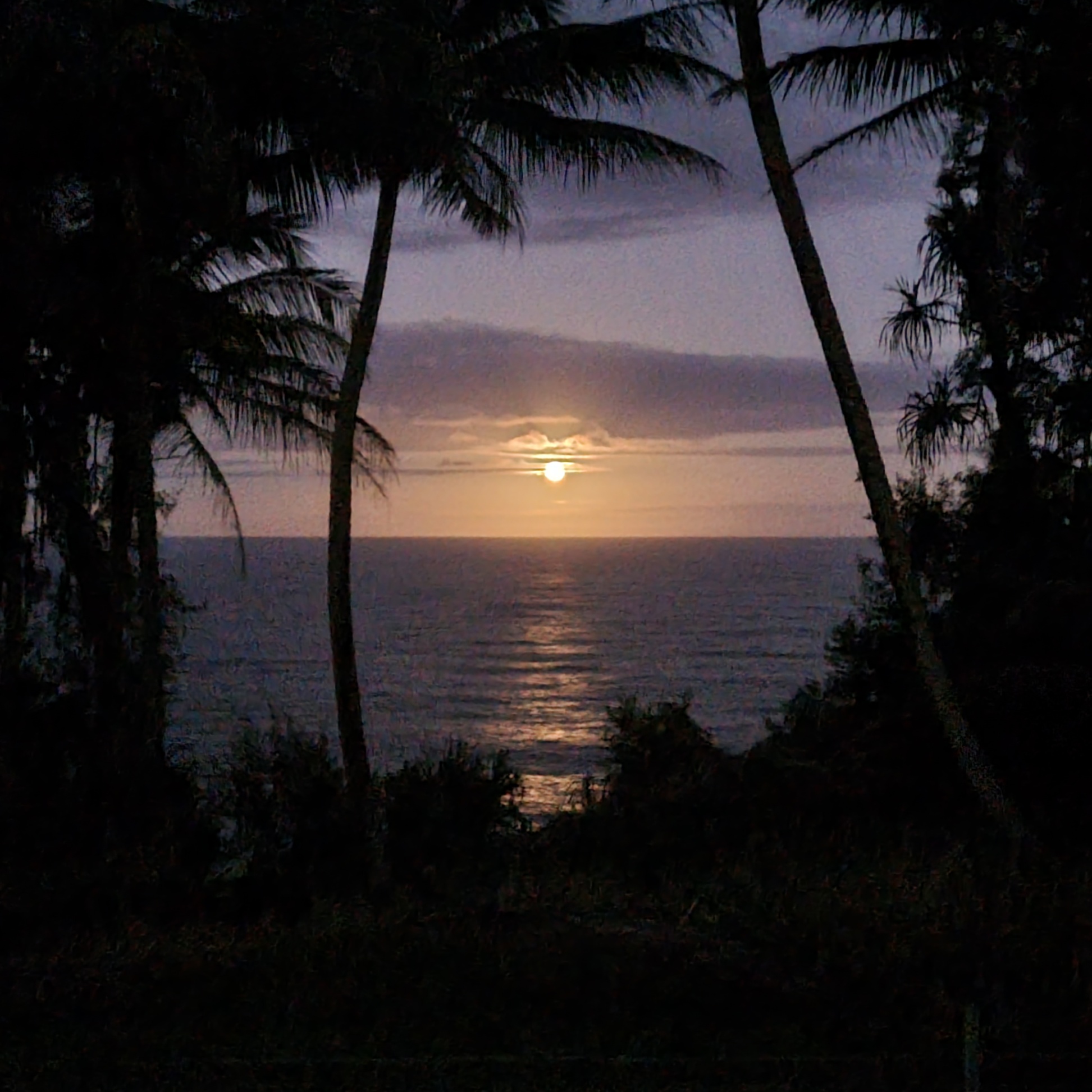 Koili Point