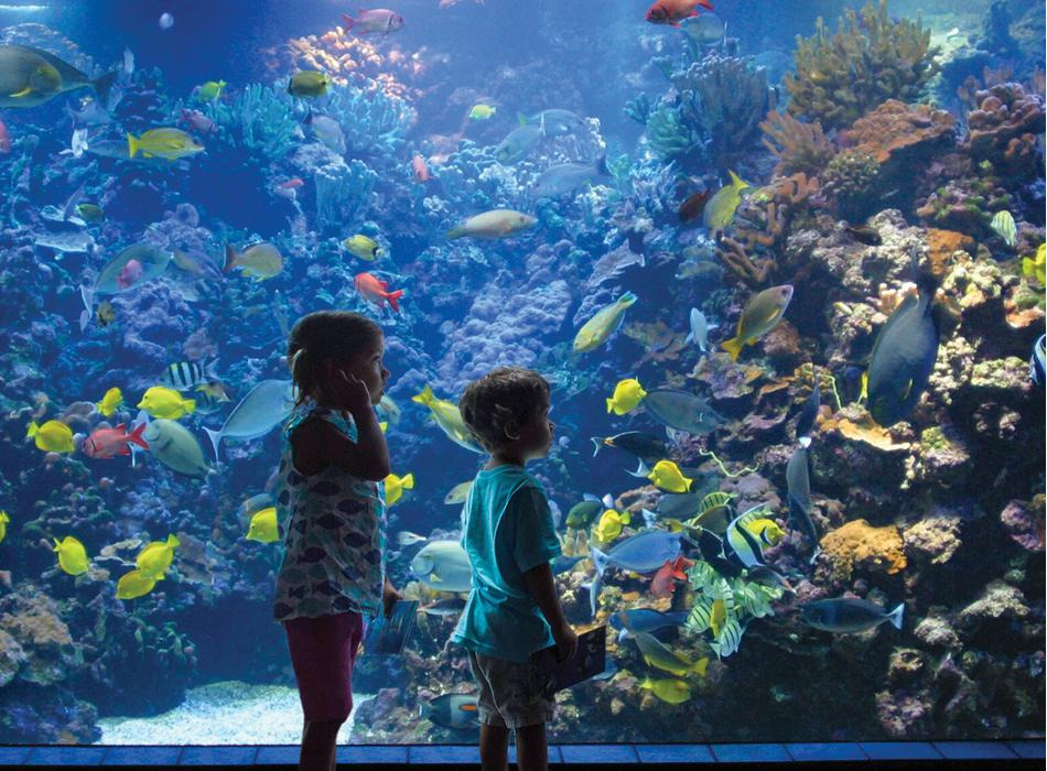 Best Maui Activities & Adventures