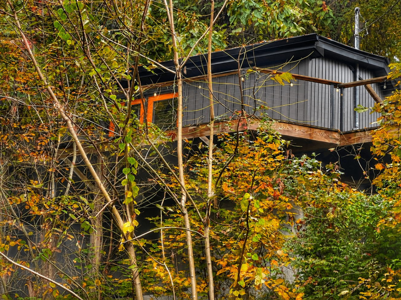 Center Hill Lake Getaway Guide & Local Notes