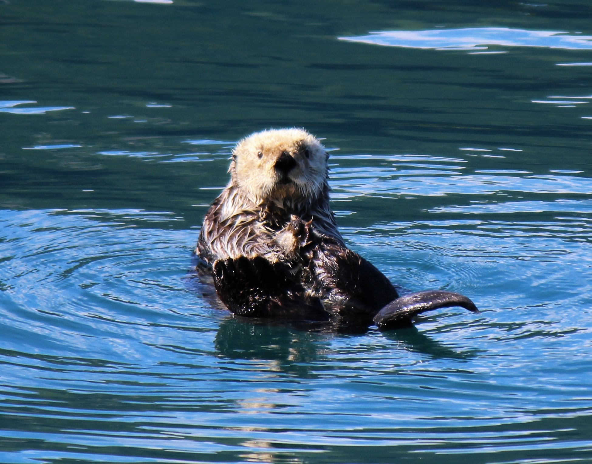 Activities on the Kenai Peninsula, Alaska
