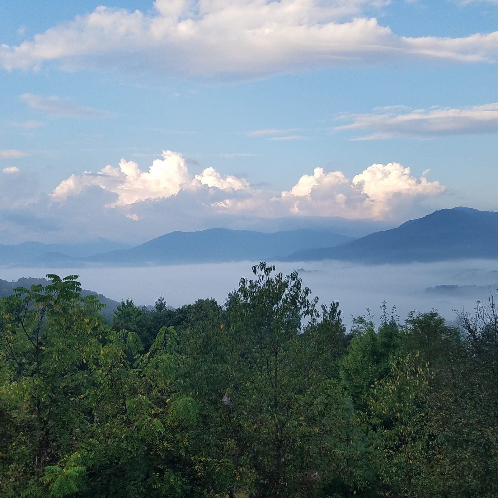 Western North Carolina Vacation Ideas
