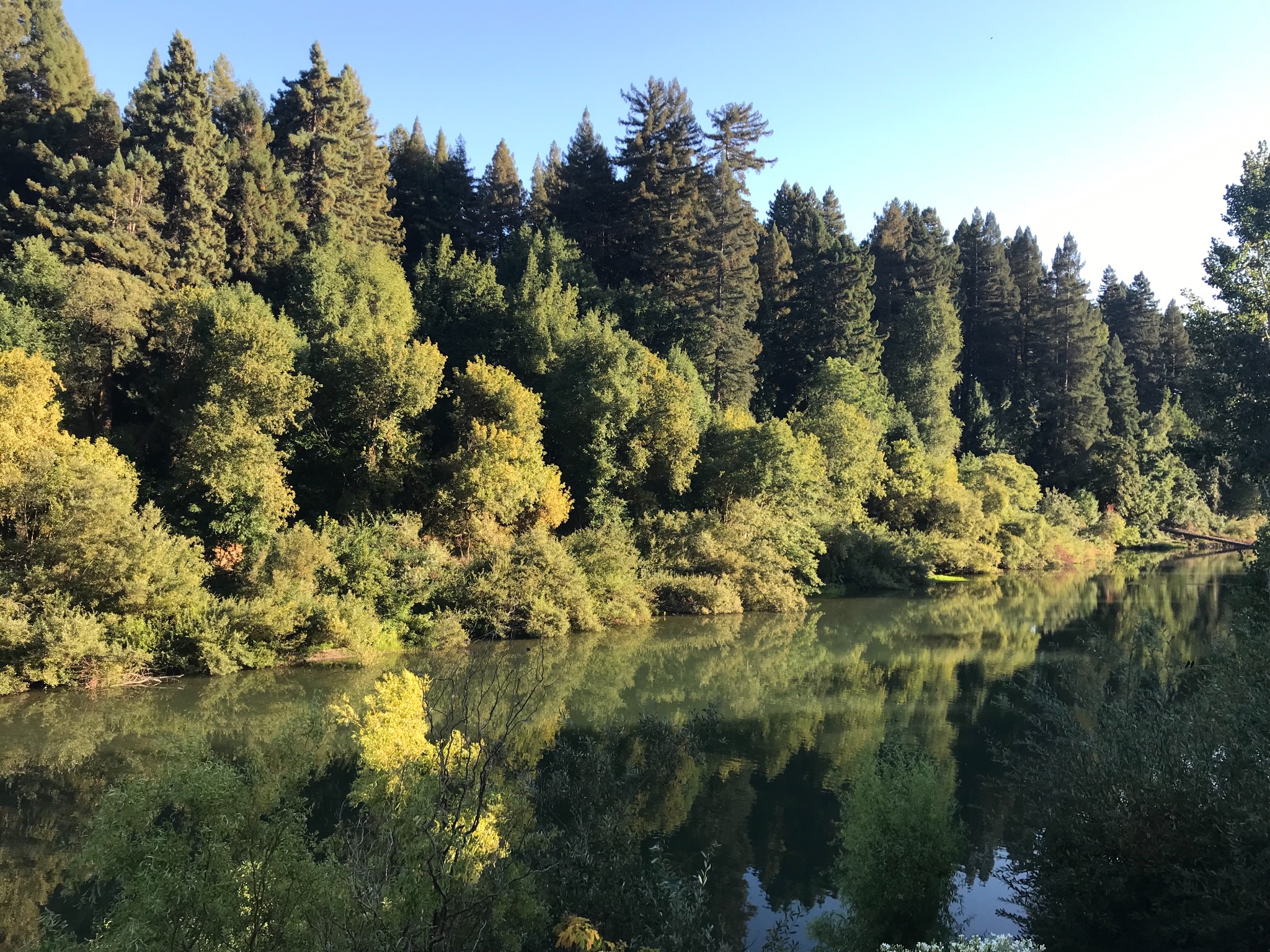 Russian River and Sonoma County Information