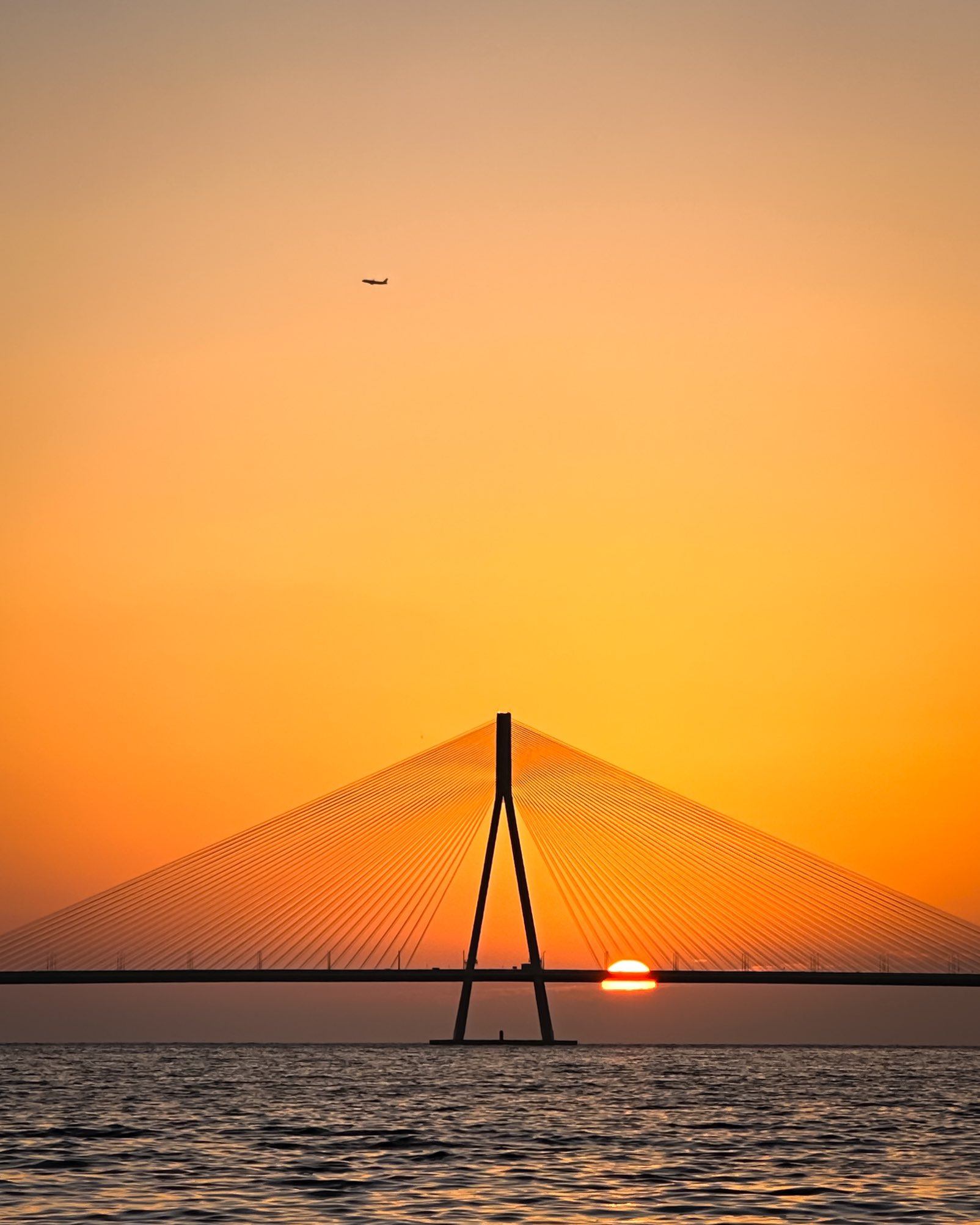 New Collection testing on Houfy properly