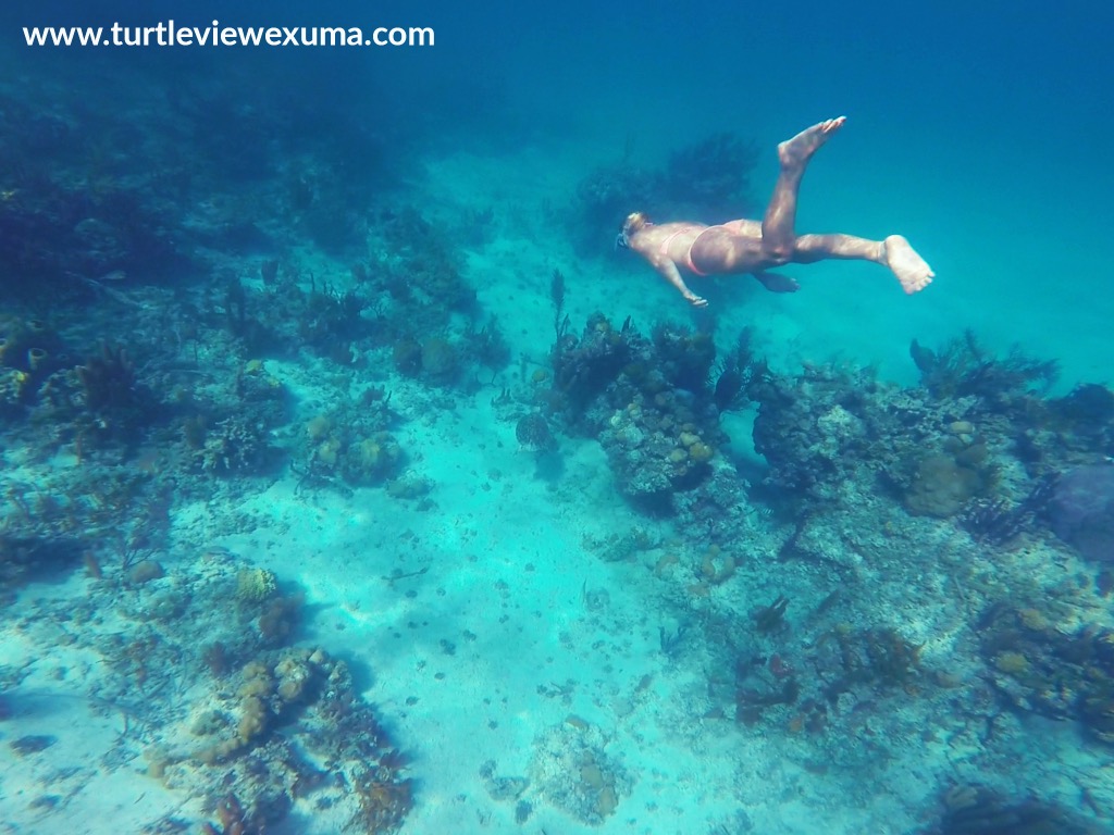 Water Sport Activities