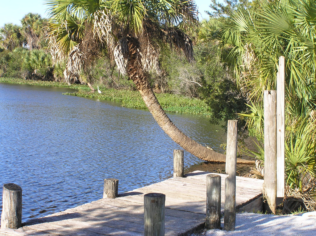 Nature lovers in Venice FL