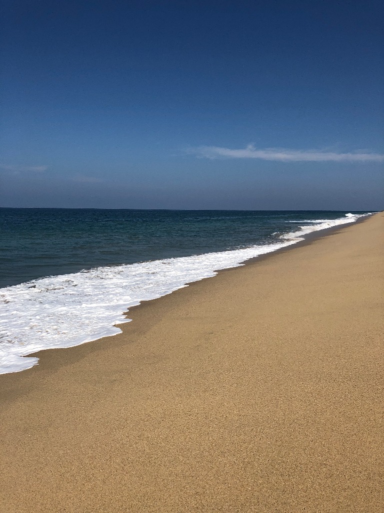 Road Trips and Fun places nearby our condo!