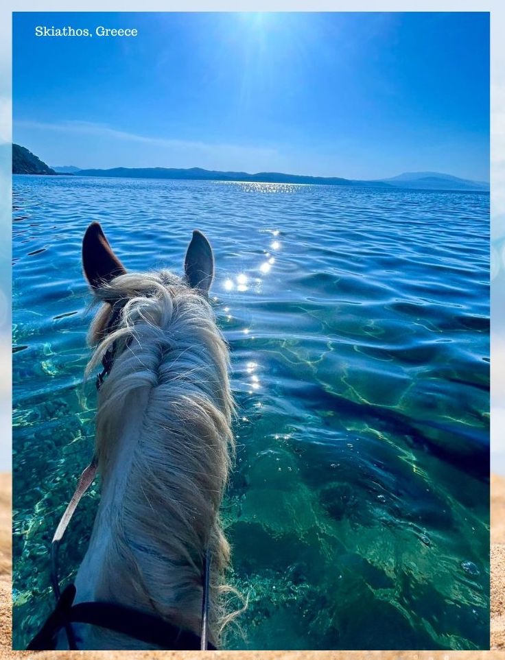 Horse Riding Fun on Skiathos Island, Greece