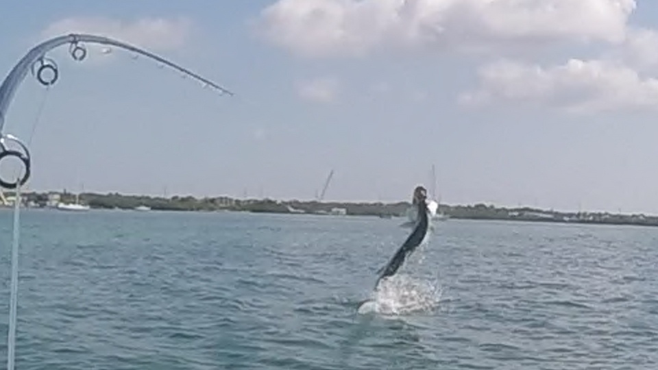 Water Sports, Reef Snorkeling & Angler’s Guide