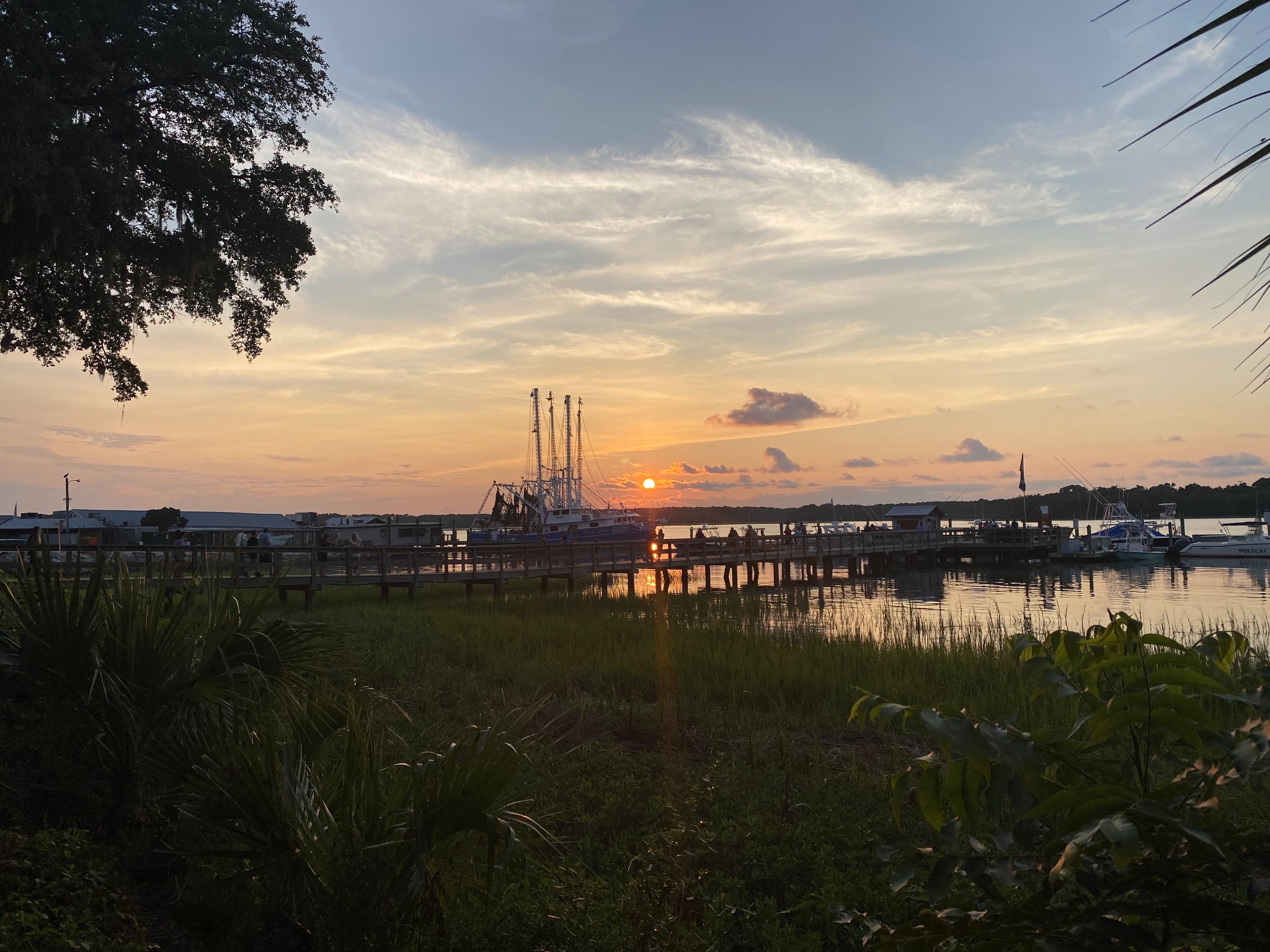 Lazy Dog Villa Property Guide