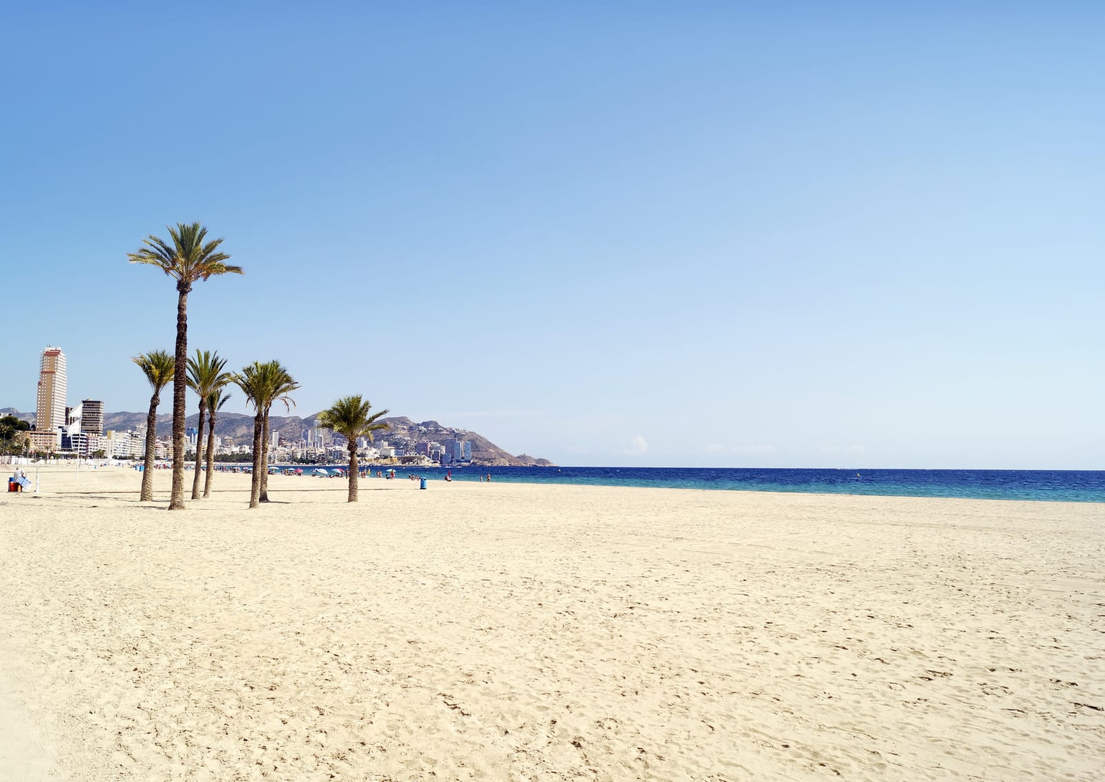 Benidorm's expansive sandy beach meets the clear blue Mediterranean with palm trees dotted along the shoreline, while modern high-rises and distant hills characterize this vibrant Spanish coast. | Houfy — No Fees, Book Direct