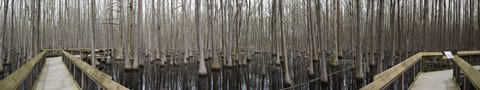 Arkansas vacation rentals