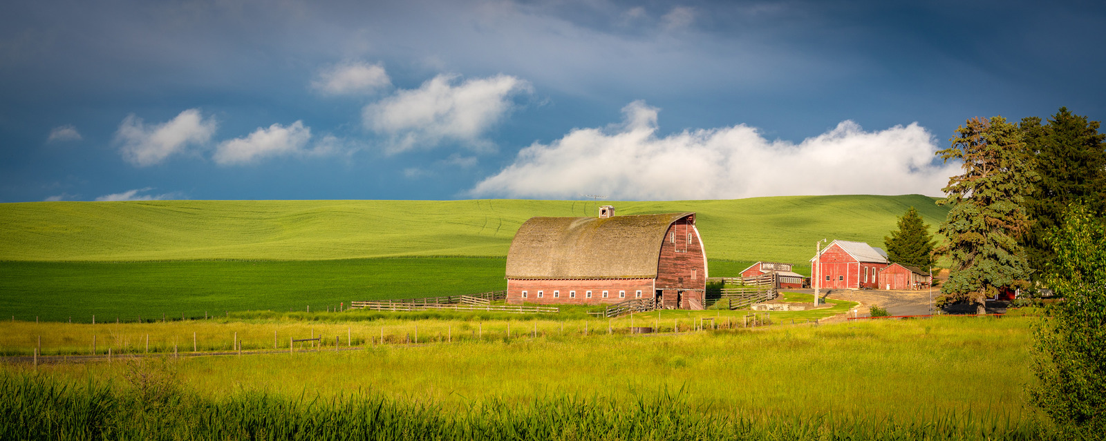 Rolling green fields and a striking red barn under a vivid blue sky characterize the landscape of the Palouse region in Washington State. Perfect for nature lovers and photographers. | Houfy — No Fees, Book Direct