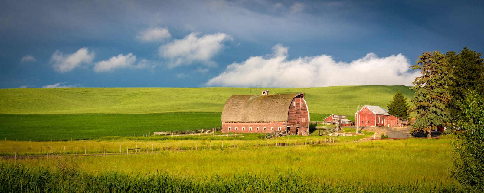 Rolling green fields and a striking red barn under a vivid blue sky characterize the landscape of the Palouse region in Washington State. Perfect for nature lovers and photographers. | Houfy — No Fees, Book Direct