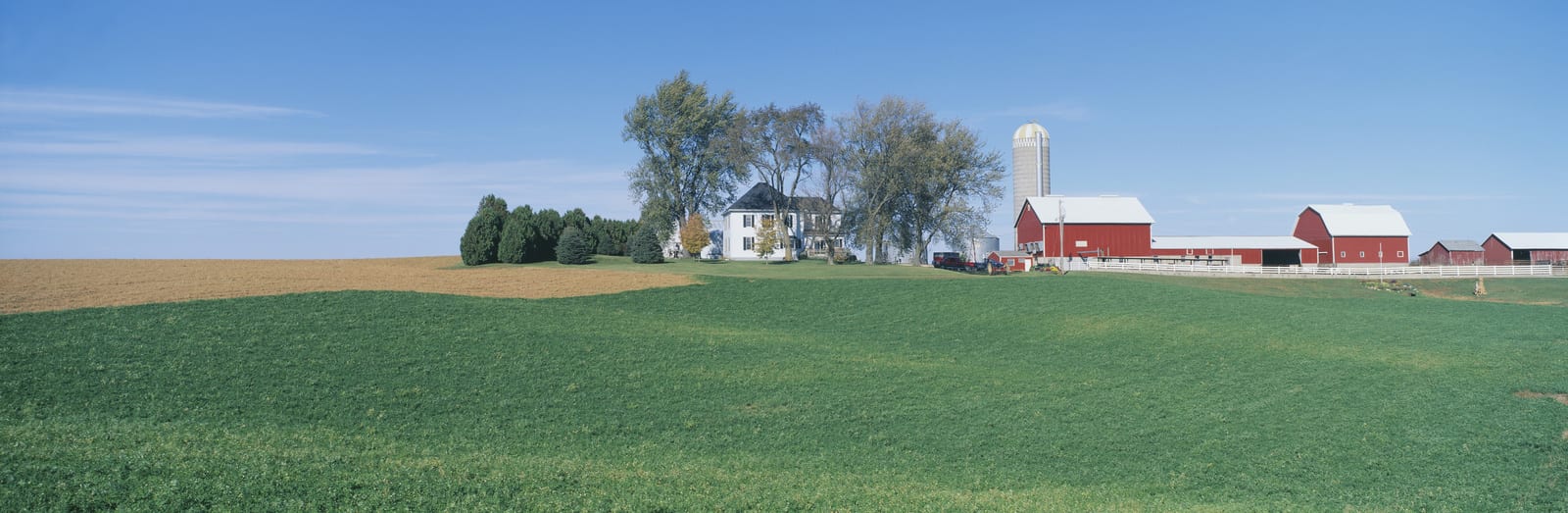 Rolling green fields lead to a charming farmhouse and red barns near a tall silo under clear skies in rural Wisconsin, creating a picturesque American heartland scene perfect for a tranquil escape. | Houfy — No Fees, Book Direct