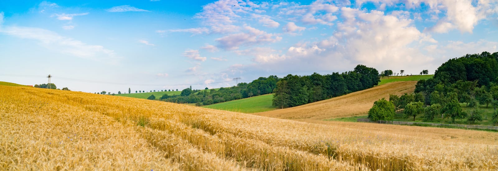Rolling golden wheat fields under a bright blue sky in the picturesque countryside of Hungary, bordered by lush green hills and dotted with trees, create a serene, idyllic landscape perfect for a peaceful escape. | Houfy — No Fees, Book Direct