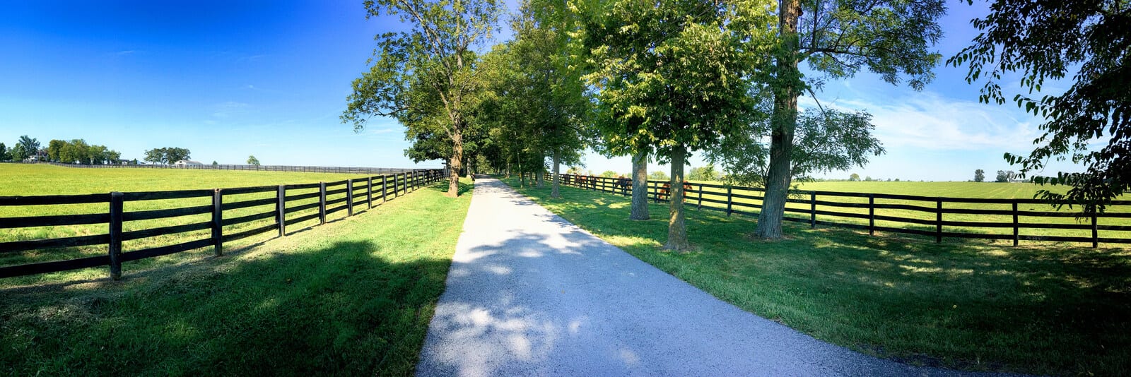 A charming country road lined with trees and wooden fences leads through lush green fields, capturing the tranquil beauty of Kentucky's horse country, perfect for a serene countryside drive. | Houfy — No Fees, Book Direct