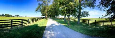 Kentucky vacation rentals