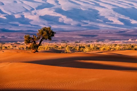 Morocco vacation rentals