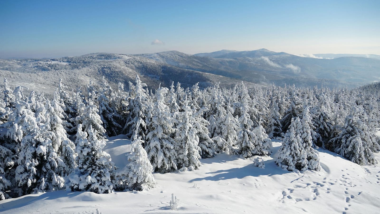 Panoramic winter mountain vista with a pristine snow-covered field, dense forest of frost-laden evergreen trees sculpted in white, and hazy violet mountain ridges receding under a brilliant azure sky — book a fee-free mountain view vacation rental on Houfy | Houfy — Book Direct