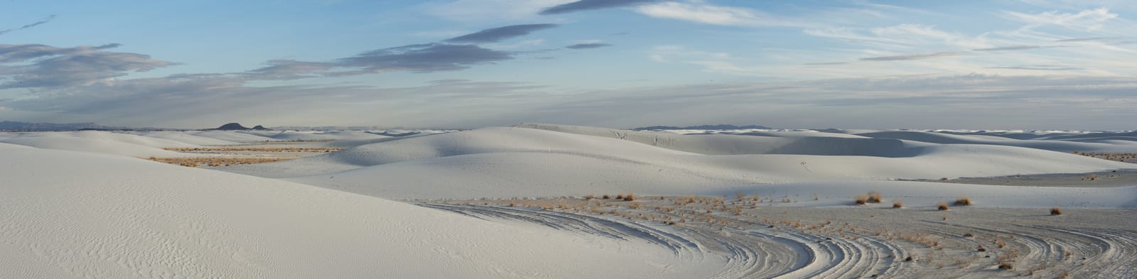 Vast white gypsum dunes stretch across White Sands National Park under a blue sky, rippling textures and sparse vegetation create a surreal landscape in New Mexico, highlighted by soft evening shadows. | Houfy — No Fees, Book Direct