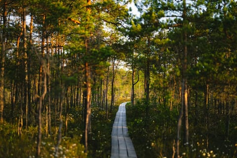 North Carolina vacation rentals