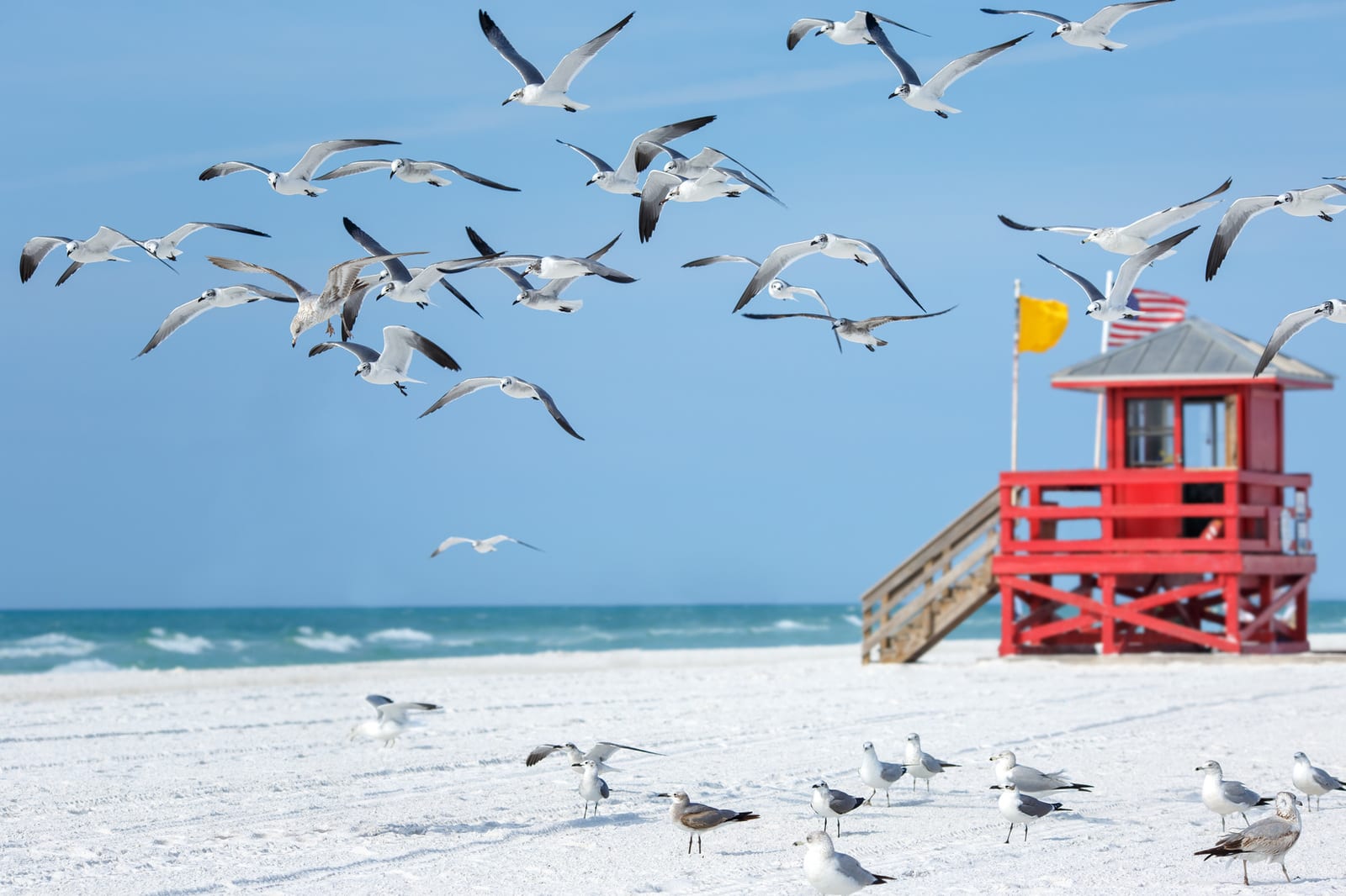 Seagulls fly over the sandy shores beside a vibrant red lifeguard tower and American flag, capturing the essence of Siesta Key Beach's unique charm under a clear blue sky. | Houfy — No Fees, Book Direct