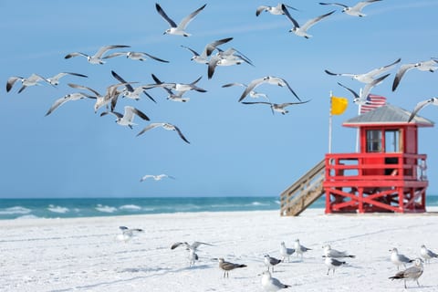Sarasota alquileres vacacionales