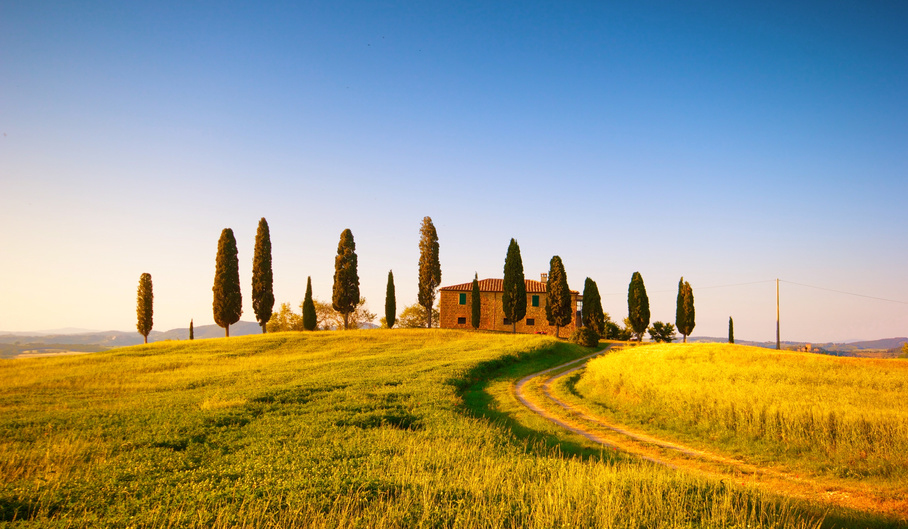 Rolling hills of Tuscany with a rustic villa surrounded by tall cypress trees under a clear blue sky, showcasing the iconic rural landscape and serene charm typical of the Italian countryside. | Houfy — No Fees, Book Direct
