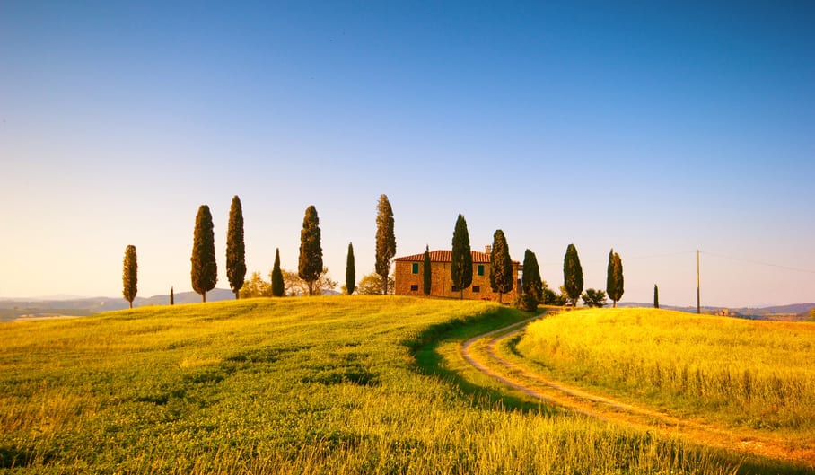 Rolling hills of Tuscany with a rustic villa surrounded by tall cypress trees under a clear blue sky, showcasing the iconic rural landscape and serene charm typical of the Italian countryside. | Houfy — No Fees, Book Direct