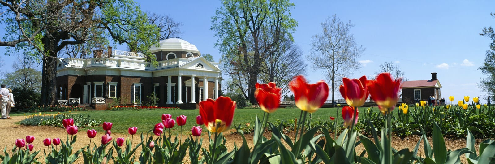 Tulips bloom vibrantly in front of the iconic Monticello with its distinctive dome and columns, set against a backdrop of lush green trees in Charlottesville, Virginia, under a clear blue sky. | Houfy — No Fees, Book Direct