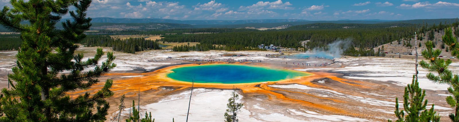 Yellowstone National Park's Grand Prismatic Spring showcases vibrant blue, orange, and green hues surrounded by forested landscape and steaming geothermal features under a bright blue sky. | Houfy — No Fees, Book Direct