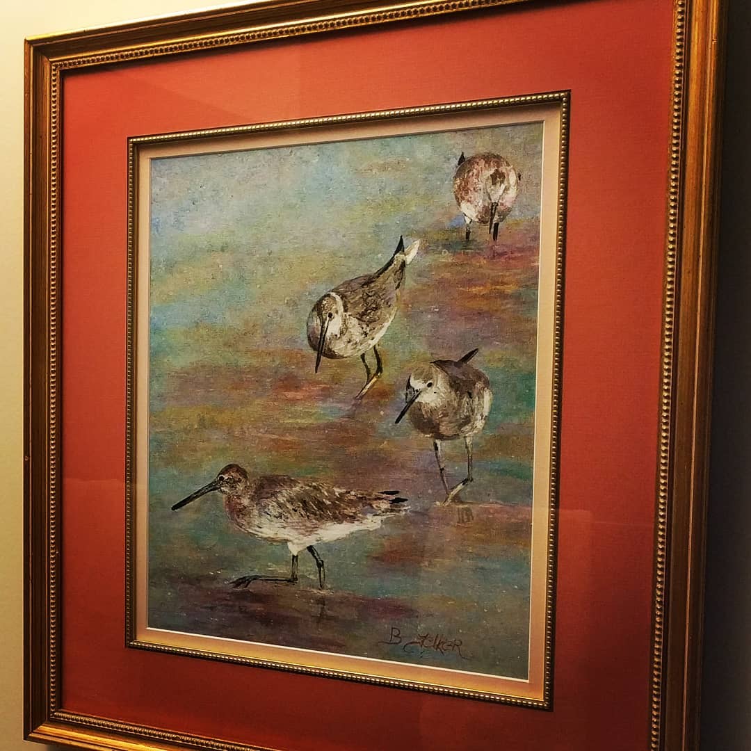 Sandpipers on Jekyll Sandpiper's Beach