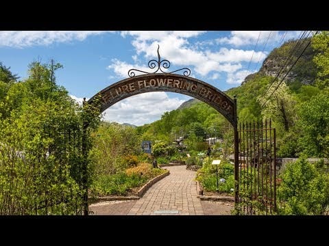 Lake Lure Flowering Bridge