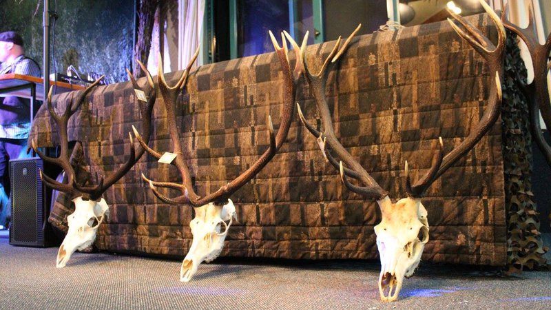 A Visit To The West Coast Of The South Island Is A MUST DO!