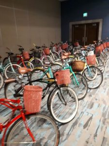 Rent a Bike in Playa del Carmen