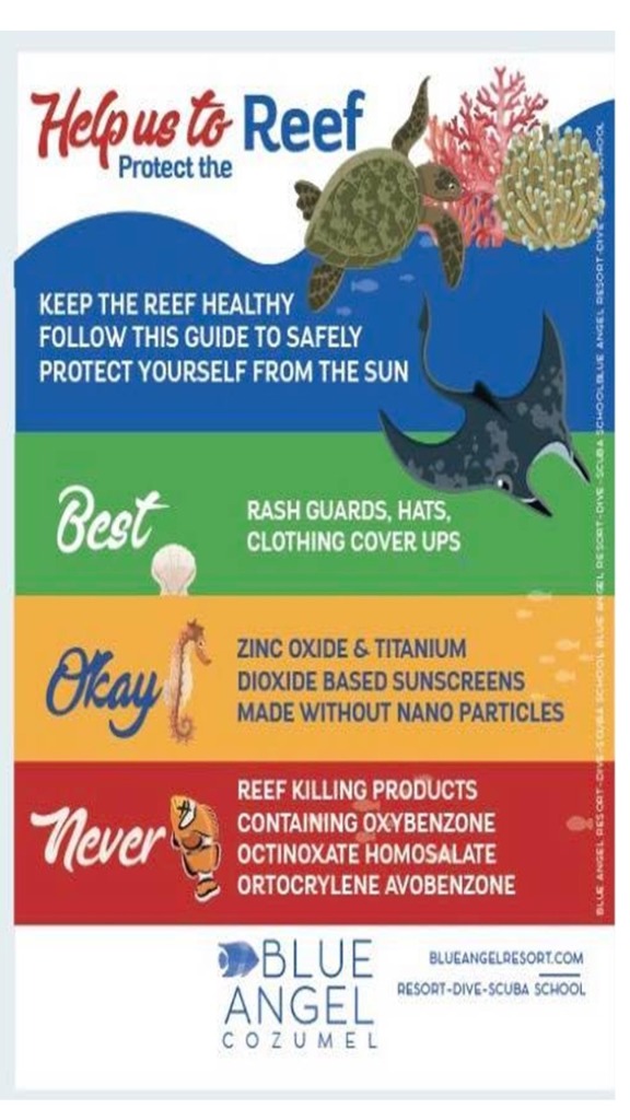 Please be a responsible tourist and protect the reefs