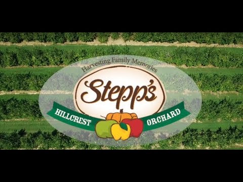 Stepp's Hillcrest Orchard