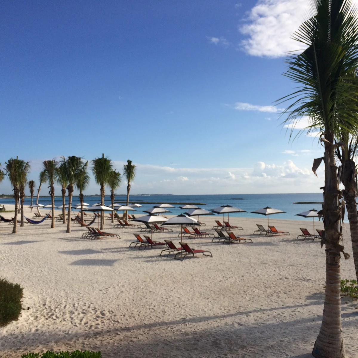 The Top Golf Courses in the Riviera Maya 