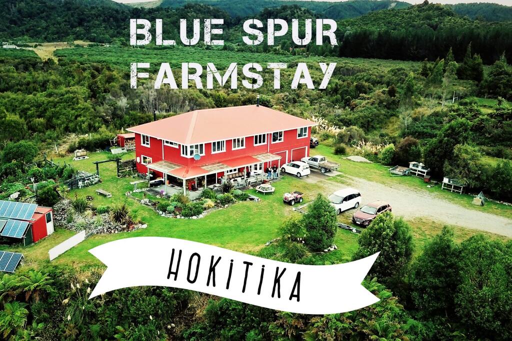 A Visit To The West Coast Of The South Island Is A MUST DO!