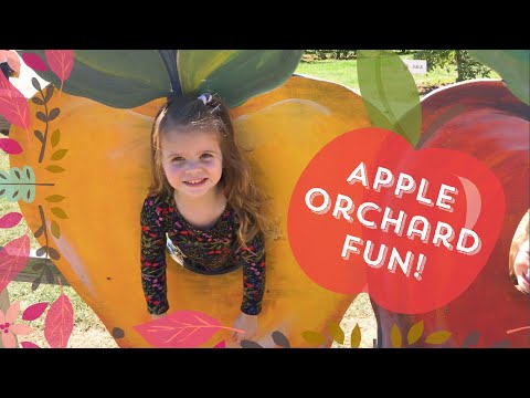 Justus Orchard near Lake Lure