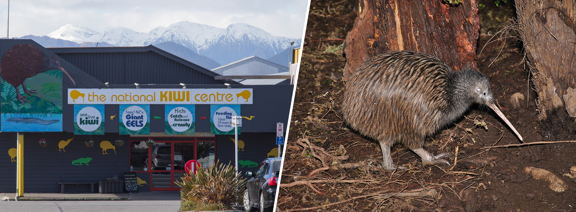 What To Do With The Kids When It Rains in Hokitika