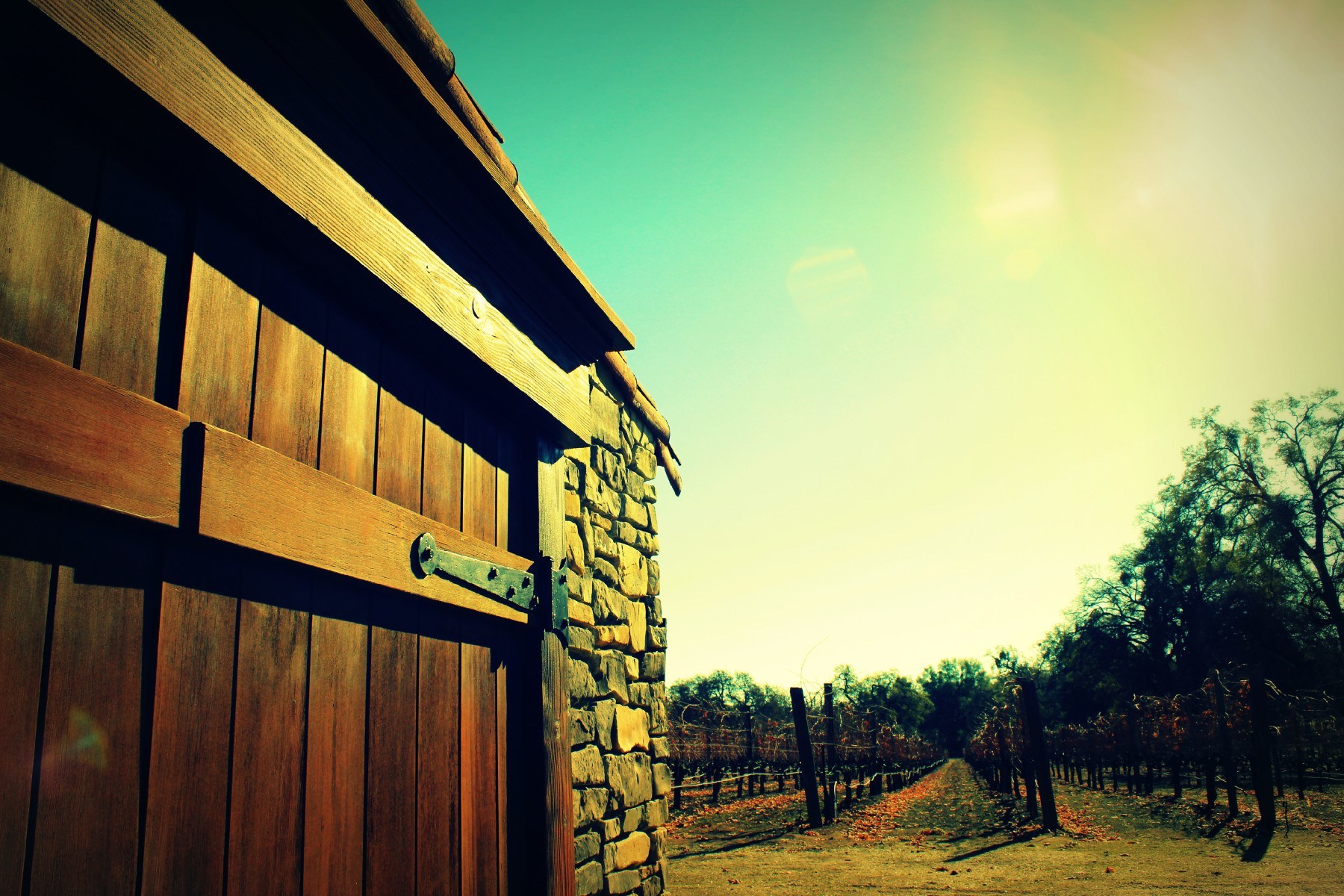 Wine Tasting in Shenandoah Valley