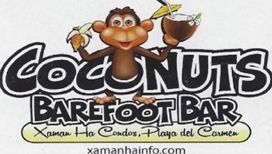 Beach Restaurants in Playa del Carmen