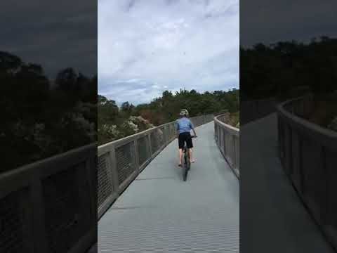 Biking the Breakwater Junction Trail at Gordon's Pond in Lewes Delaware - YouTube