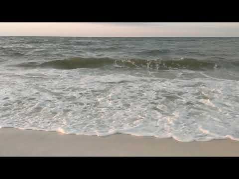 Mornings in the Surf