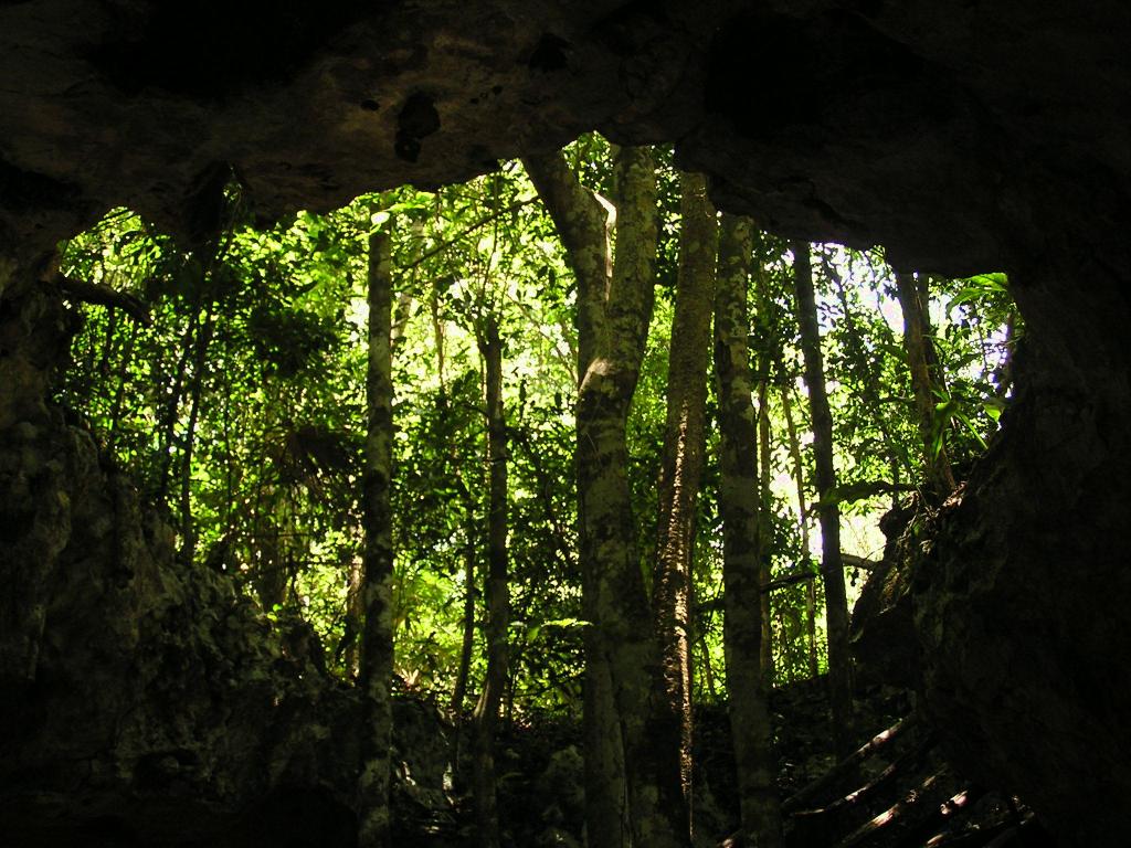 Cenotes - There are so many, which one(s) are best for you?