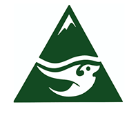 Create Your Own One Of A Kind Jade Carving