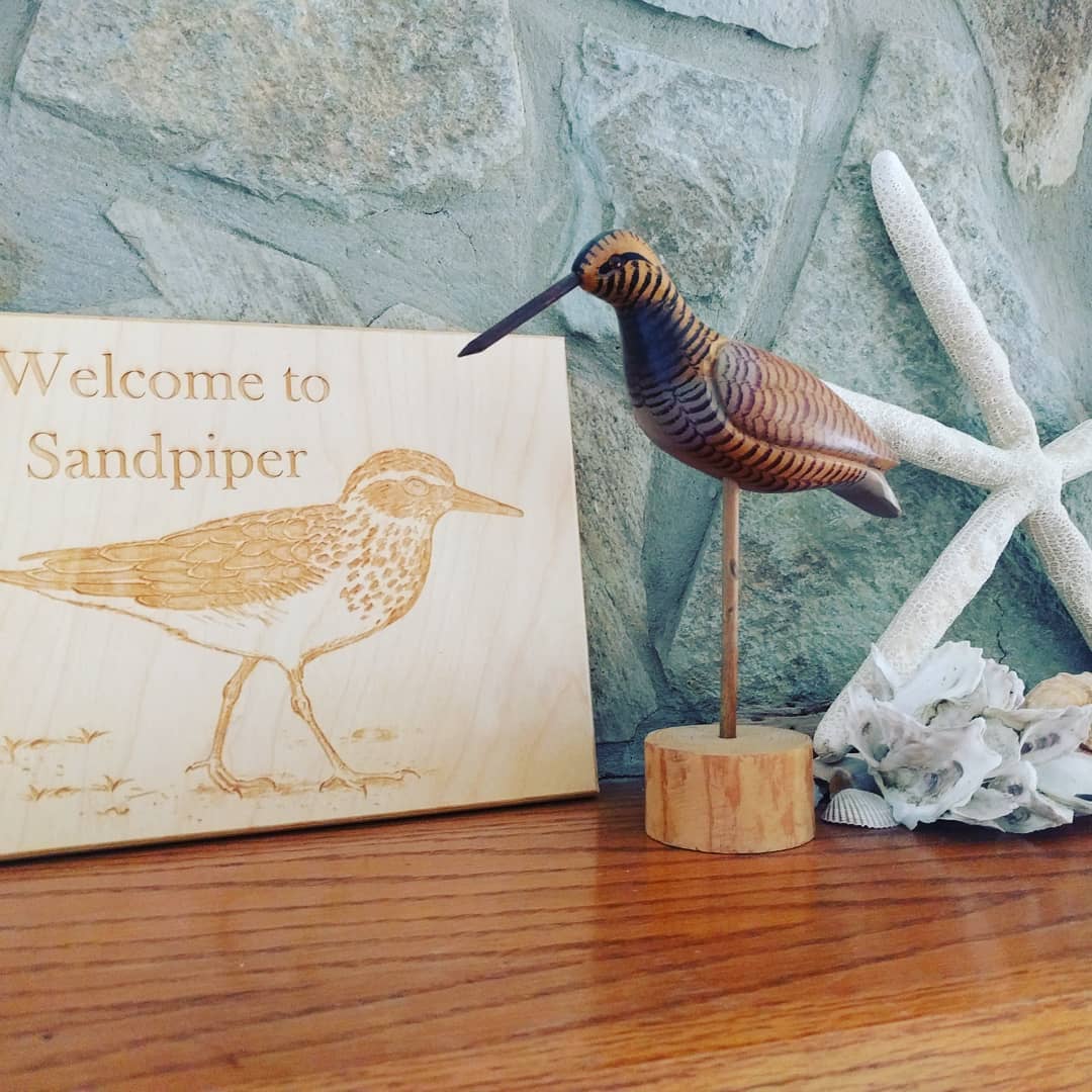 Sandpipers on Jekyll Sandpiper's Beach